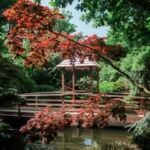 Japanese Garden Cornwall